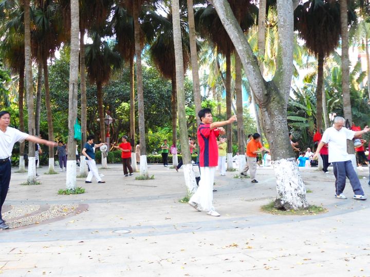 A group of people practising tai chi together in a park in Haikou, China