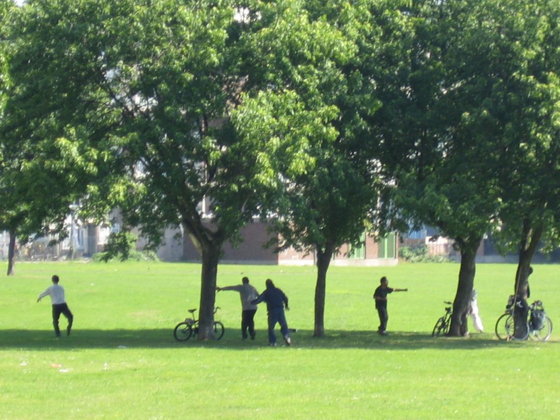 People practising tai chi in a London park