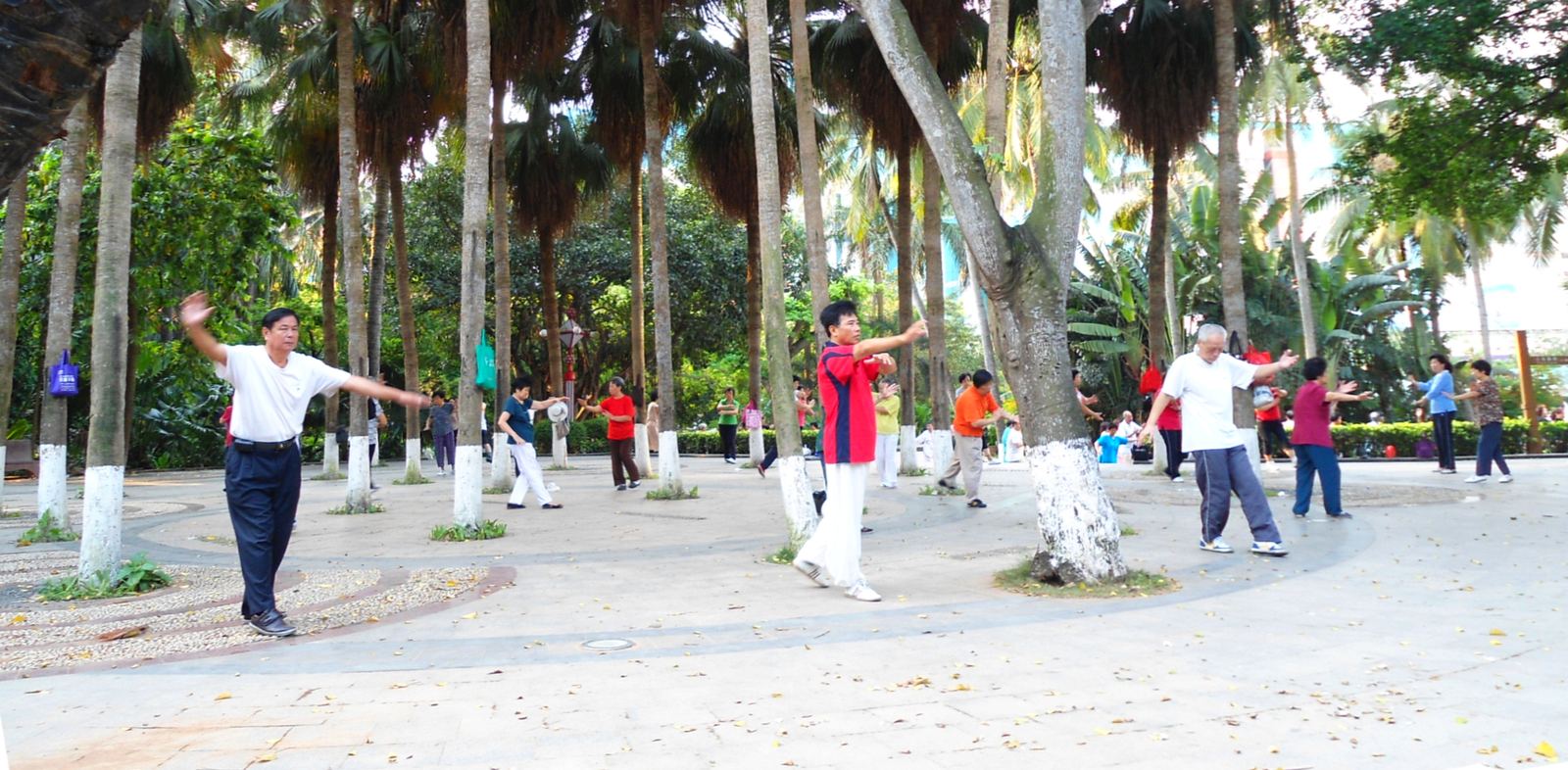 A group of people practising tai chi together in a park in Haikou, China